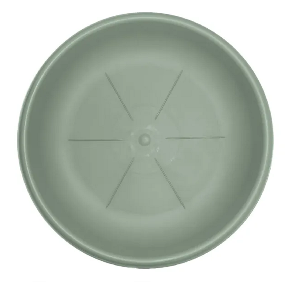 bama sottovaso hedera salvia d 18 cm ean 8007633261121