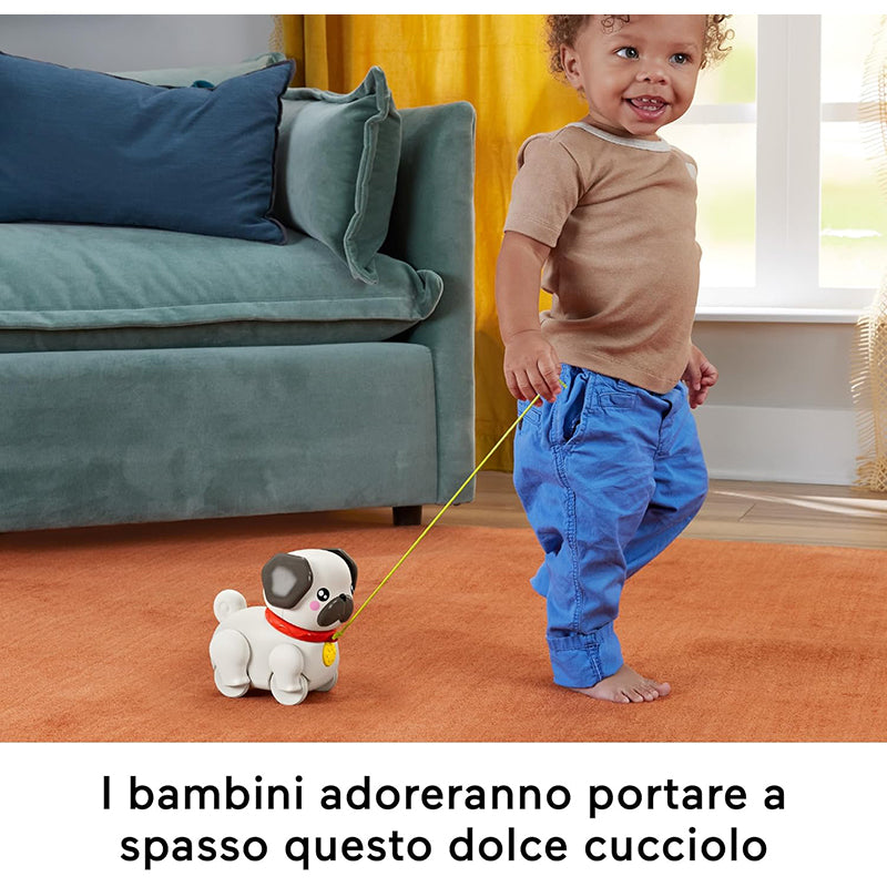 immagine-2-fisher-price-fisher-price-carlino-cammina-con-me-ean-0194735199112
