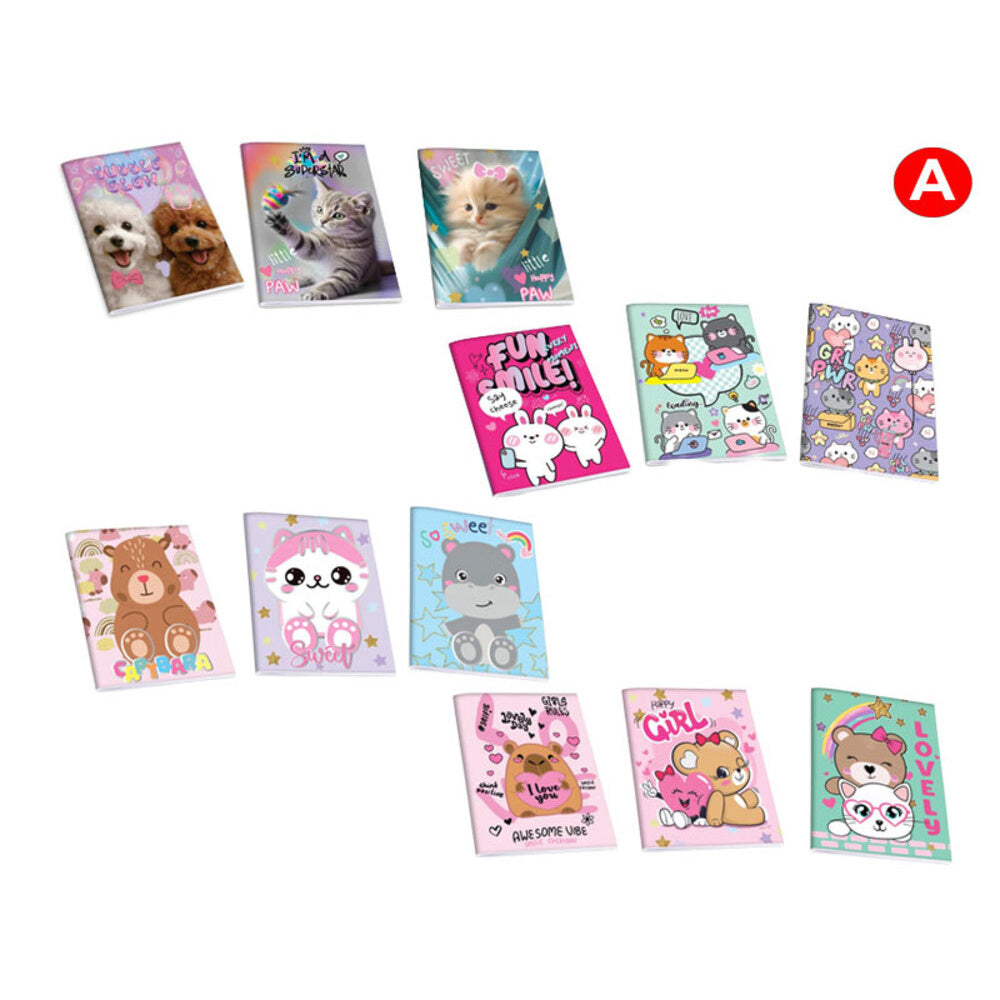 Quaderni A4 Active Girl Pacco 3 PZ Assortiti Rigatura A