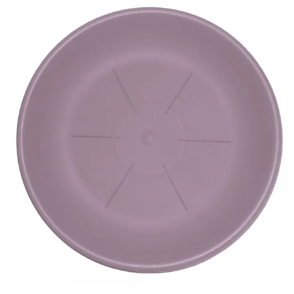 bama sottovaso hedera lavanda d 18 cm ean 8007633271120