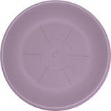 bama sottovaso hedera lavanda d 22 cm ean 8007633271038