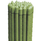 biacchi ettore cannetta 150 met plastificata ean 8004944998203