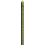 biacchi ettore cannetta 180 metallo plastificata ean 8004944998302