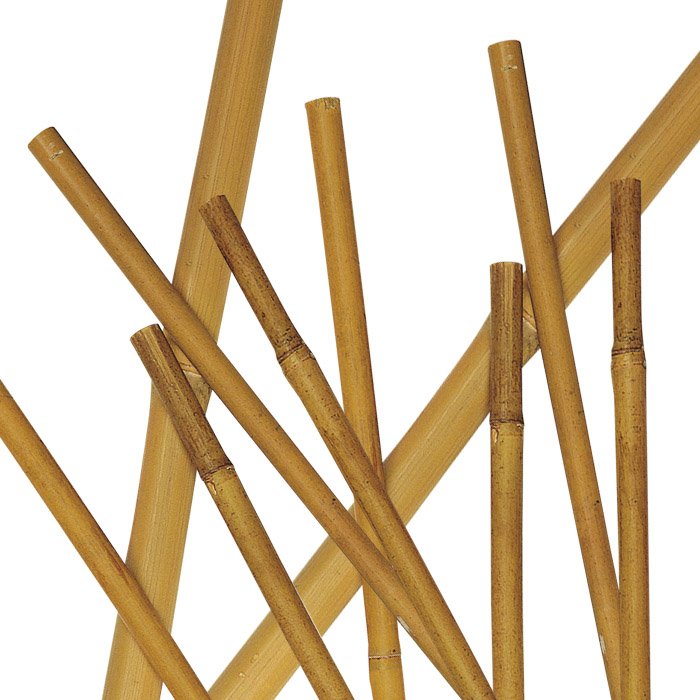 biacchi ettore cannette bamboo 90cm 5001 biacchi ean 8004944050017