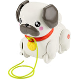 immagine-1-fisher-price-fisher-price-carlino-cammina-con-me-ean-0194735199112