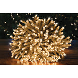 immagine-1-partenope-luci-500-led-esterno-8f-caldo-trasparente-ean-8032089570732