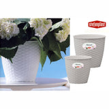 immagine-1-stefanplast-vaso-natural-14-bianco-73450-stefanplast-ean-8003507734500