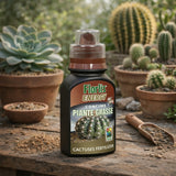 flortis concime energy piante grasse 250 gr ean 8009985026465