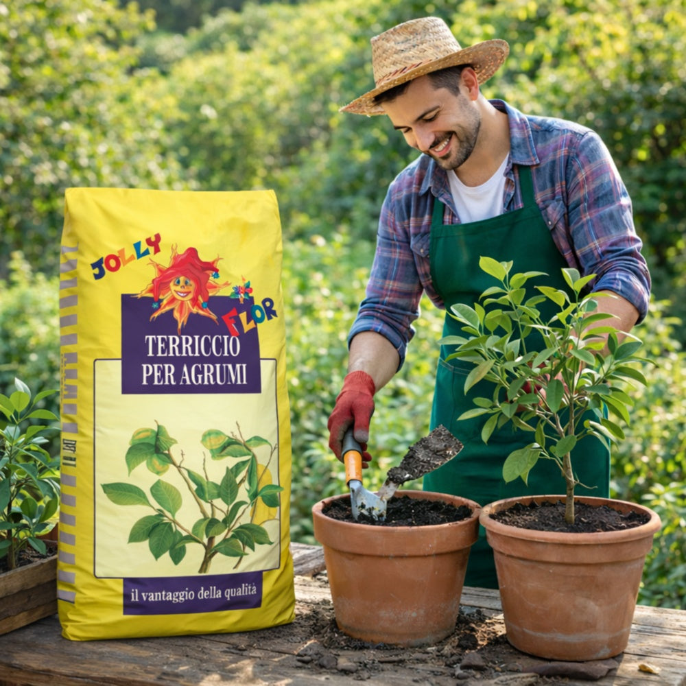 jolly flor terriccio agrumilimoni jolly flor 20 lt ean 8014310002106