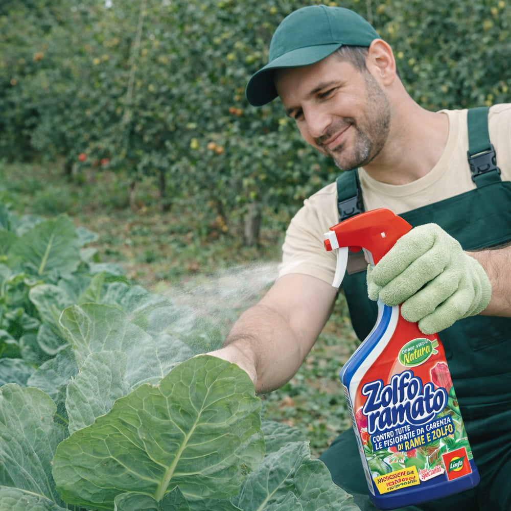 Zolfo Ramato Pronto All'Uso Protezione 500 Ml