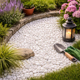 Ciottoli Bianco Carrara 15-25 Mm 20 Kg