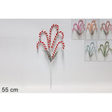 immagine-1-due-esse-christmas-stelo-5-bastoncini-canditi-6-col.-5-ean-8053482173160