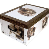 immagine-1-miss-space-scatola-52x40x25cm-decorazione-gatti-assortita-ean-8033695870148
