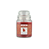 immagine-1-nataluna-candela-profumata-gr-510d-90h-mela-ean-8051094263569